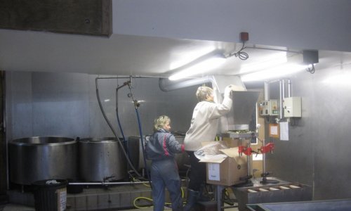 photo3